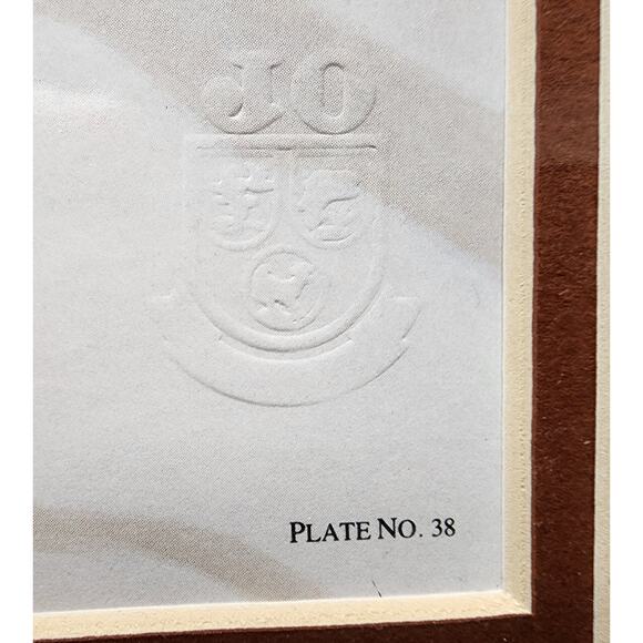 Jim Oliver Raccoon 1984 Signed Embossed Lithograph Framed Wildlife Art Print - Picture 7 of 11